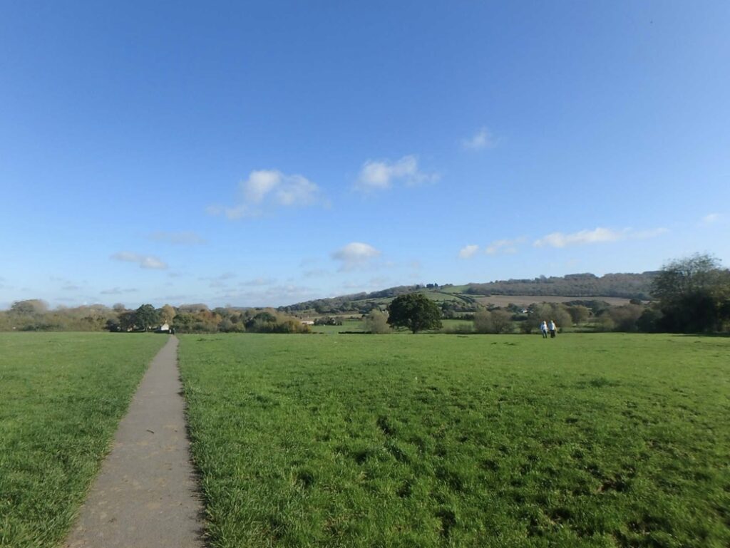 レイコックの牧場